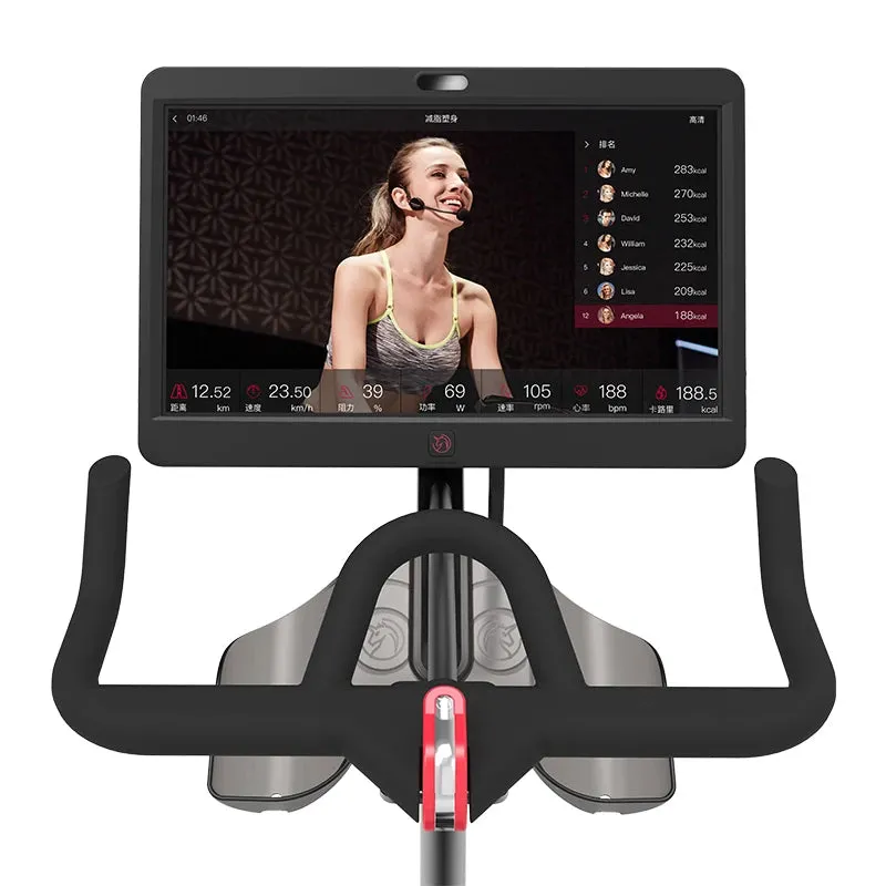 stationary exercise spinning bike